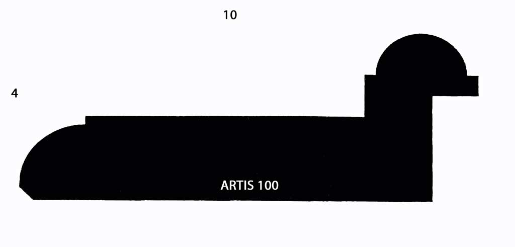 Artis 100
